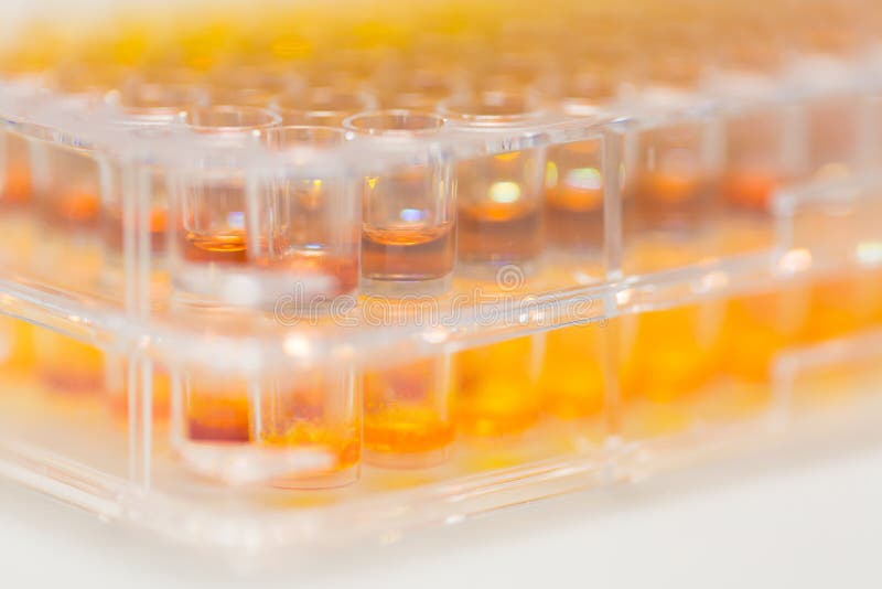 Assay plate 96 well with colourful buffer royalty free stock images