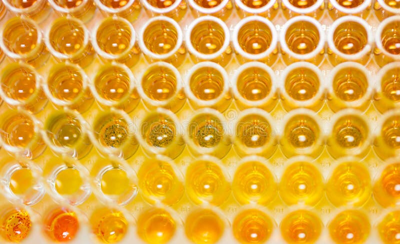 Assay plate 96 well with colourful buffer royalty free stock photo