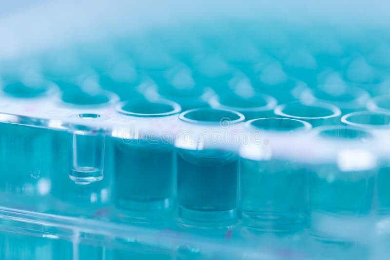 Assay plate 96 well with colourful buffer stock images