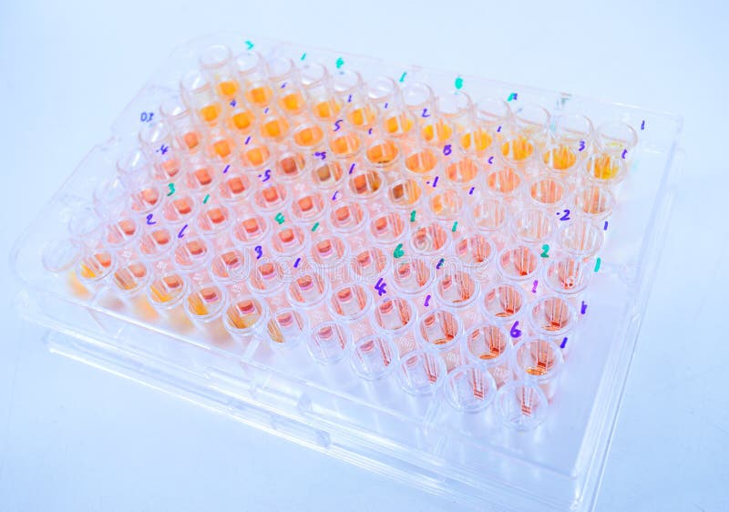Assay plate 96 well with orange buffer royalty free stock photography