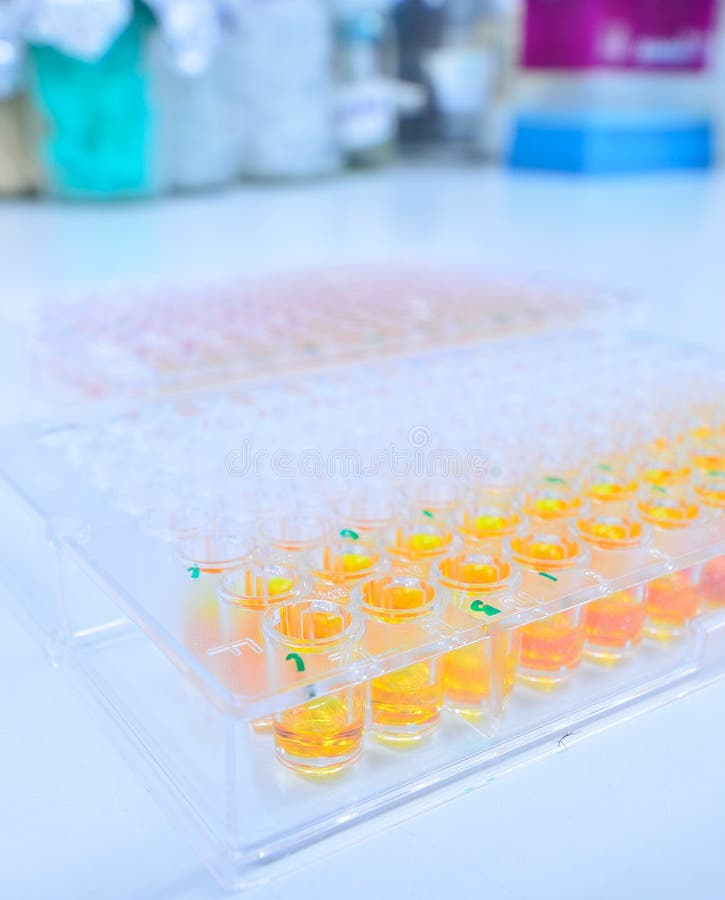 Assay plate 96 well with orange buffer royalty free stock photo