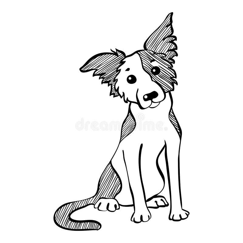 Assento engraçado do cão de border collie do esboço do vetor ilustração royalty free Assento engraçado do cão de border collie do esboço do vetor ilustração royalty free