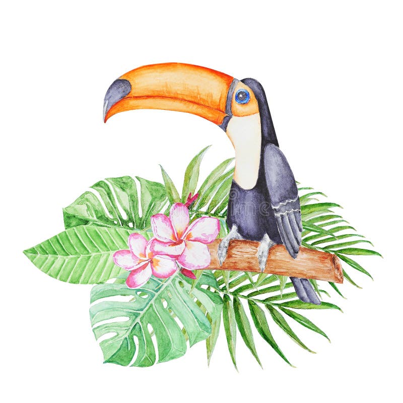Assento tucan tropical bonito no ramo nas folhas tropicais A mão arfou a ilustração da aquarela ilustração do vetor Assento tucan tropical bonito no ramo nas folhas tropicais A mão arfou a ilustração da aquarela ilustração do vetor