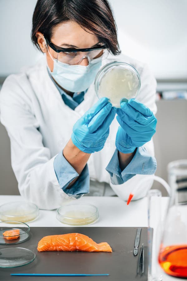 Microscopist Scientist Examining Biological Samples with a Microscope and  an Inoculation Loop in the Laboratory Stock Image - Image of biochemistry,  health: 233707149
