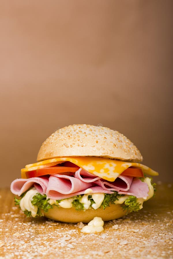 Que sanduíche! fotos de stock royalty free