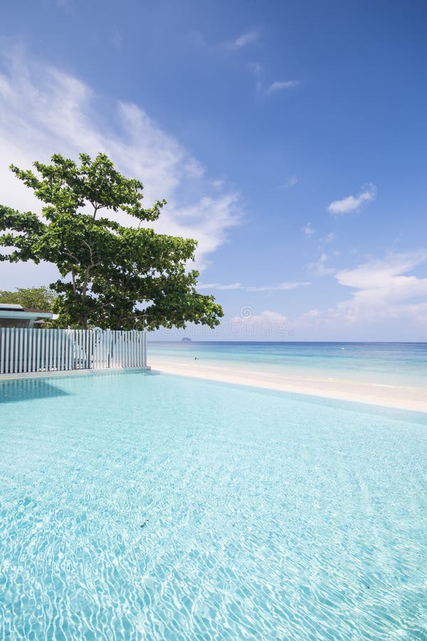 Associação bonita pela praia imagem de stock Associação bonita pela praia imagem de stock