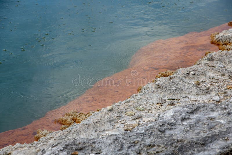 Associação de borbulhagem de Champagne em Wai-O-Tapu, Rotorua, Nova Zelândia imagem de stock Associação de borbulhagem de Champagne em Wai-O-Tapu, Rotorua, Nova Zelândia imagem de stock