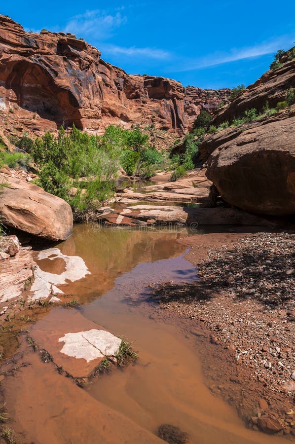 Associação de água - Hunter Canyon Hiking Trail Moab Utá imagem de stock Associação de água - Hunter Canyon Hiking Trail Moab Utá imagem de stock