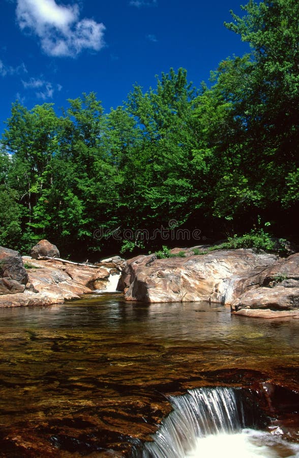 A associação no ramo de Bull drena sobre uma cachoeira pequena imagens de stock A associação no ramo de Bull drena sobre uma cachoeira pequena imagens de stock