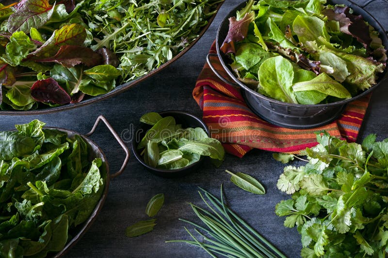 Assorted bowls filled with a variety of freshly harvested leafy greens. Assorted bowls filled with a variety of leafy greens including lettuce, chard, arugula royalty free stock photo