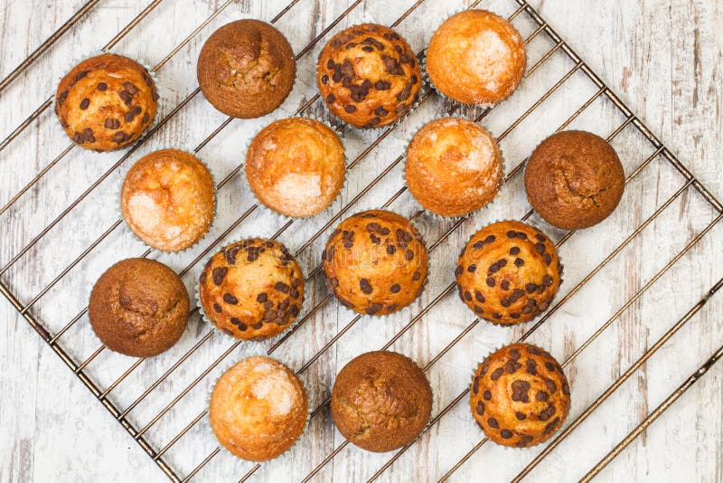 Cupcakes in oven stock photo. Image of view, colorful 35214450