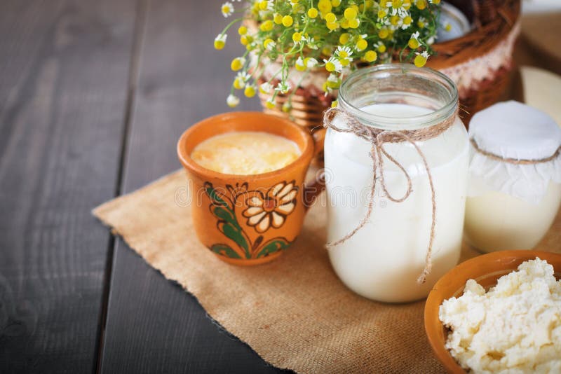 Assorted dairy products milk, yogurt, cottage cheese, sour cream. Rustic still life.