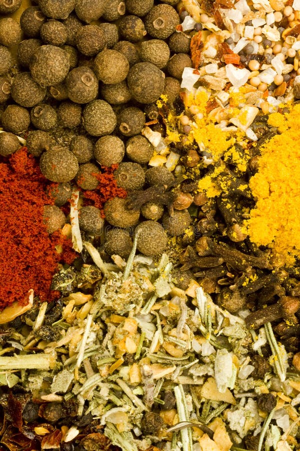 Assorted Dried Herbs and Spices Stock Image Image of granules, food