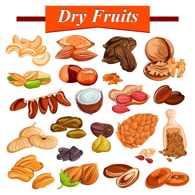 Assorted Dry Fruit Set Including Cashewnut, Almond,raisin,fig and Nuts  Stock Vector - Illustration of coconut, almond: 90985672