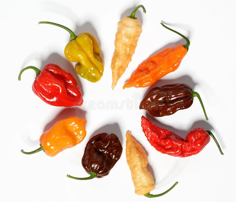 Assorted fresh organic red chili peppers, habanero