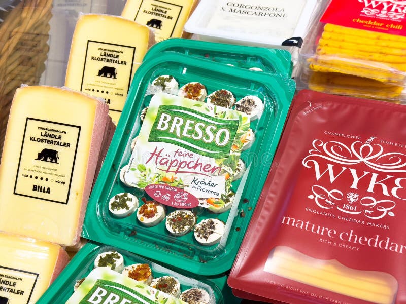 Assorted gourmet cheeses and herb spread selection royalty free stock images