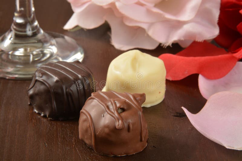 Assorted gourmet chocolates royalty free stock image