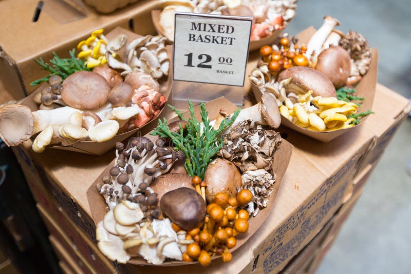 Assorted Mushrooms at a Farmers Market in San Francisco, CA Stock Image