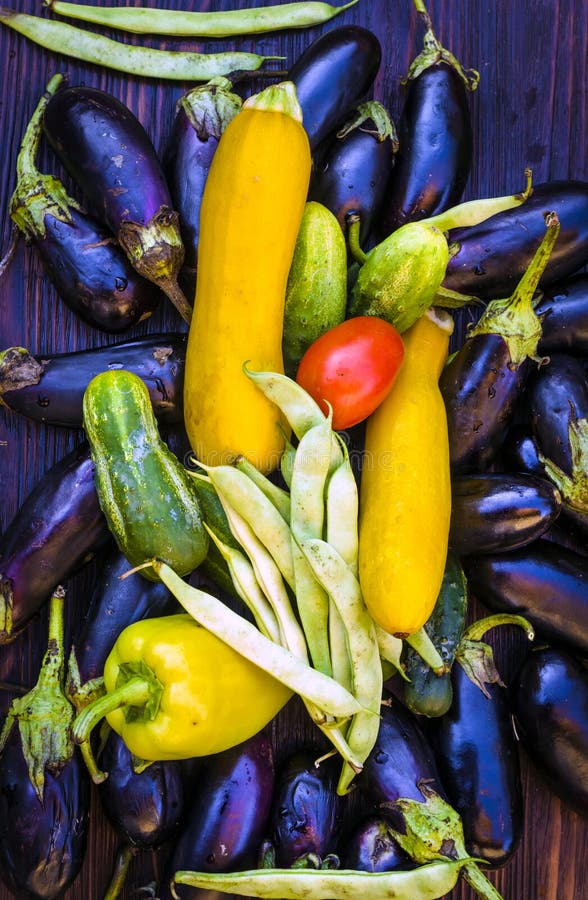 Assorted Ripe Raw Vegetables on the Table Stock Photo Image of farm