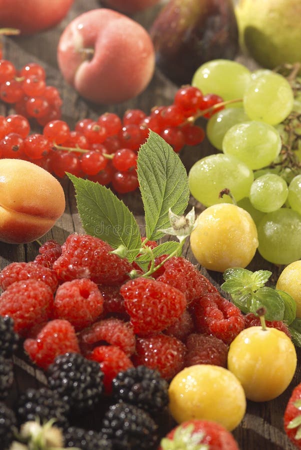 Assorted summer fruit stock photo. Image of season, apricot 23704148