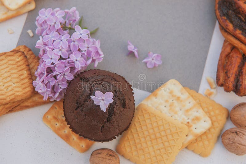 Assorted Sweet Pastries with Gray Empty Card Template Stock Photo Assorted Sweet Pastries with Gray Empty Card Template Stock Photo