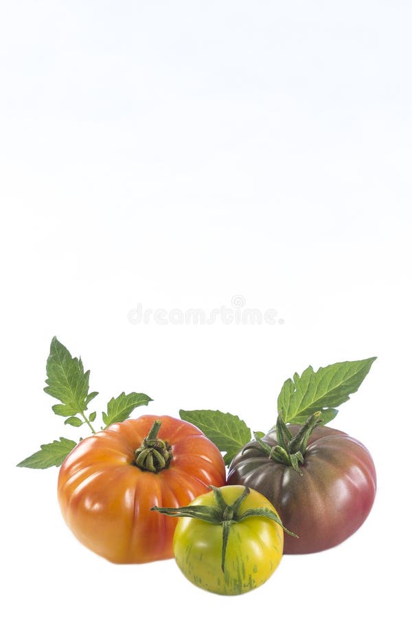 Assorted tomatoes heirloom isolated on white stock photography Assorted tomatoes heirloom isolated on white stock photography