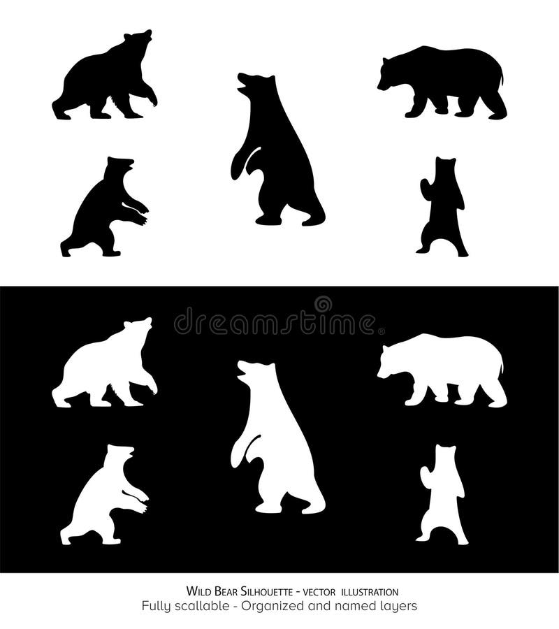 Set of Wild Bear Silhouette - animals silhouettes. vector illustration. minimalistic animal silhouette. Set of Wild Bear Silhouette - animals silhouettes. vector illustration. minimalistic animal silhouette