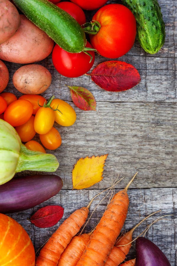 Assortment Different Fresh Organic Vegetables On Country Style Wooden Background