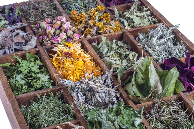 Assortment of Dried Herbal Plant for Tea in Wooden Box Stock Image