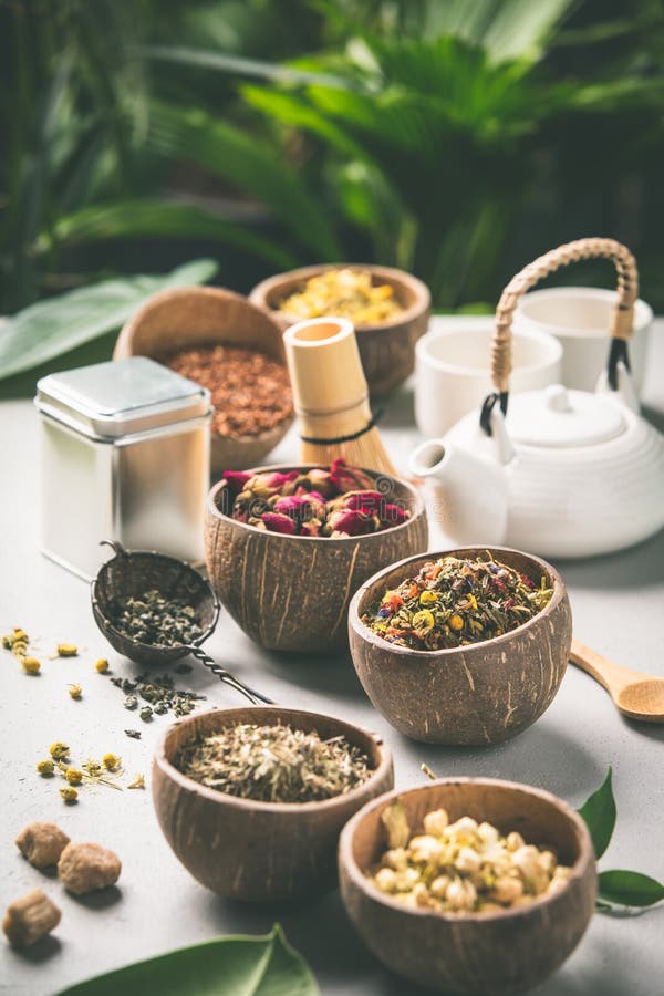 Assortment of Dry Tea in Coconut Bowls. Stock Photo Image of nature