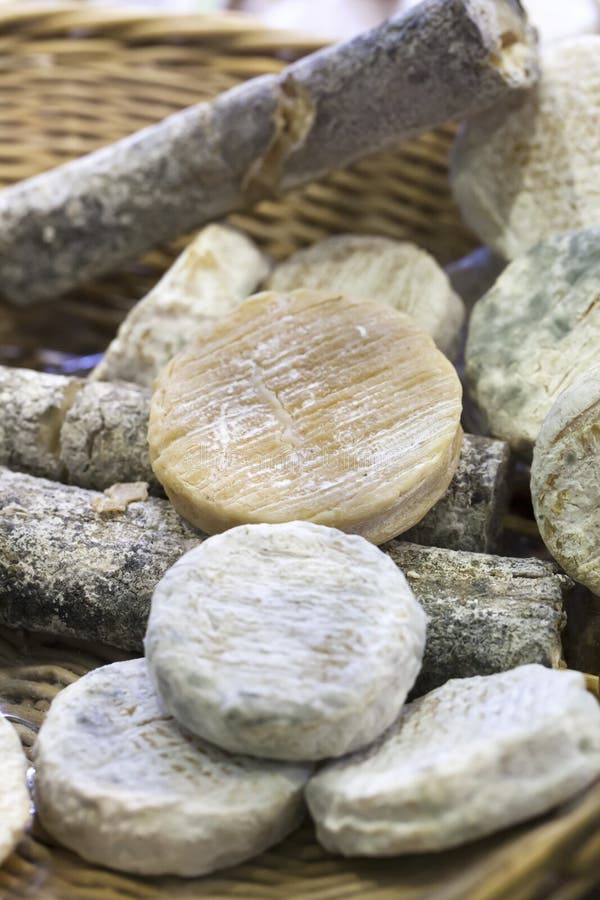 Assortment Mature Goat Cheese Display Stock Photos Free & RoyaltyFree Stock Photos from