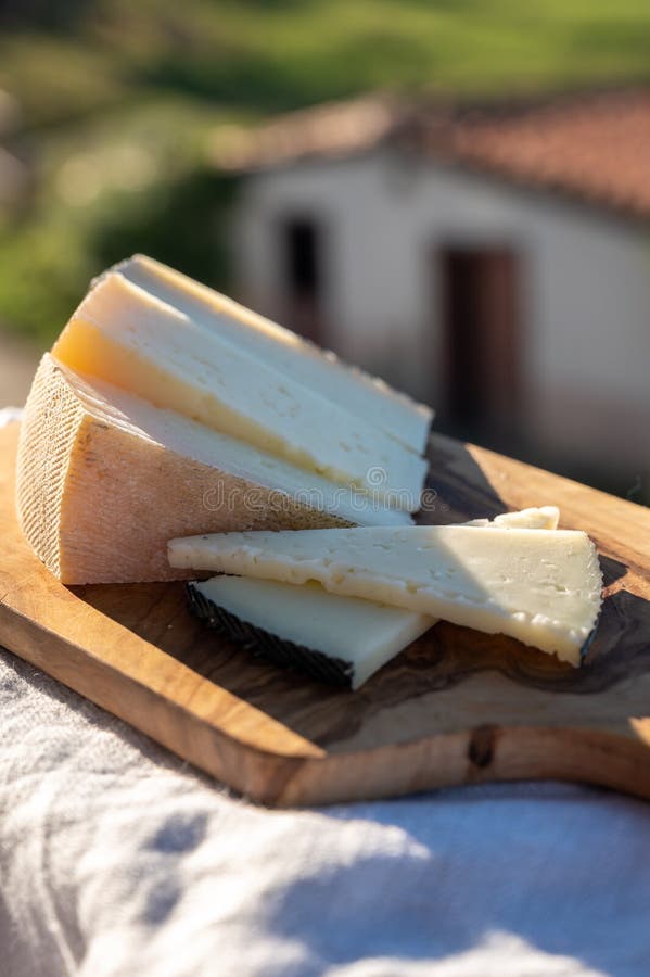 Assortment Of Spanish Hard Cheeses Curado Manchego Goat And Sheep