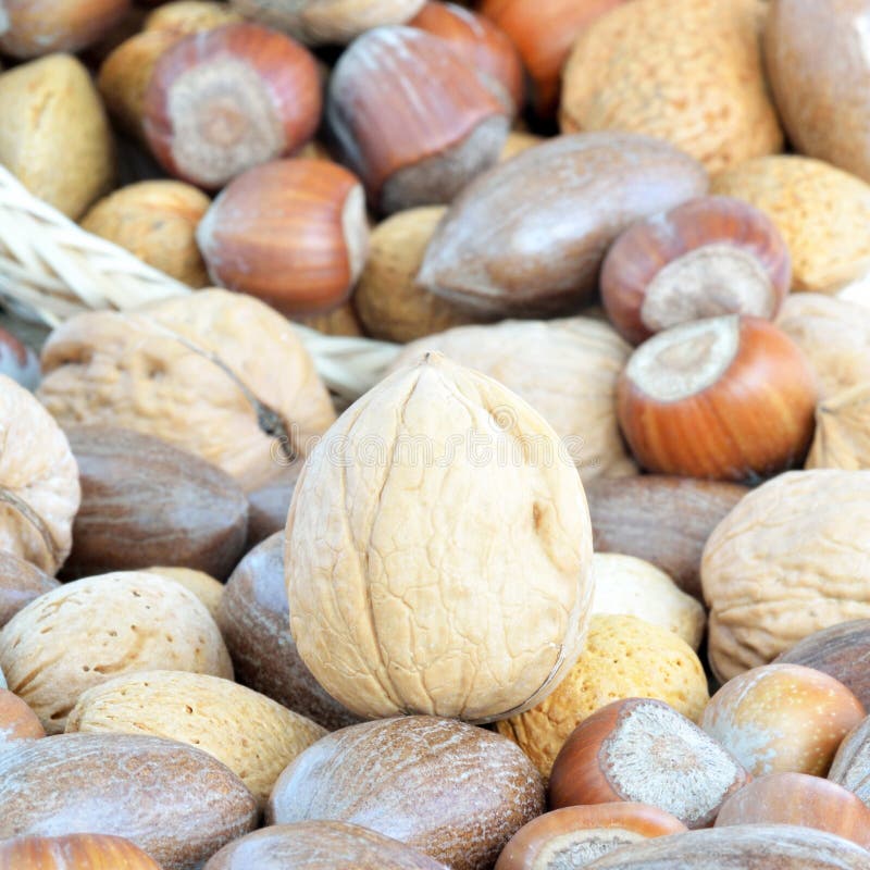 Assortment of tasty nuts stock photo. Image of roasted 29551532
