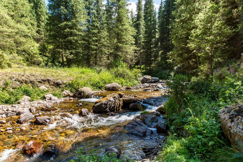 Assy plateau in Tien-Shan mountain in Almaty, Kazakhstan,Asia at summer stock photos Assy plateau in Tien-Shan mountain in Almaty, Kazakhstan,Asia at summer stock photos