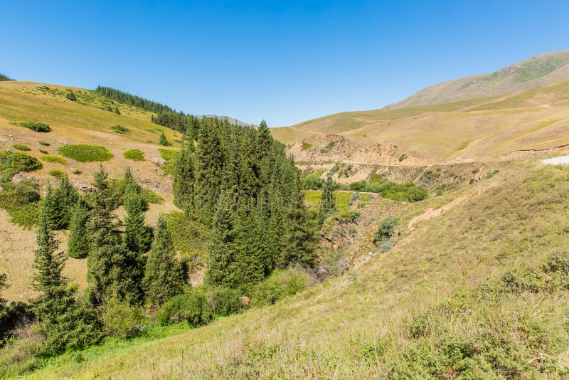 Assy plateau in Tien-Shan mountain in Almaty, Kazakhstan,Asia at summer. royalty free stock photo Assy plateau in Tien-Shan mountain in Almaty, Kazakhstan,Asia at summer. royalty free stock photo