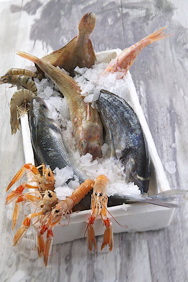 Asta di simbolo di pesca/marea, mercato ittico immagini stock Asta di simbolo di pesca/marea, mercato ittico immagini stock