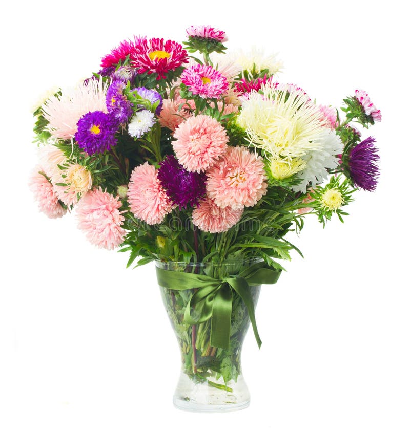 Aster flowers stock image. Image of flora, botany, background - 45777461