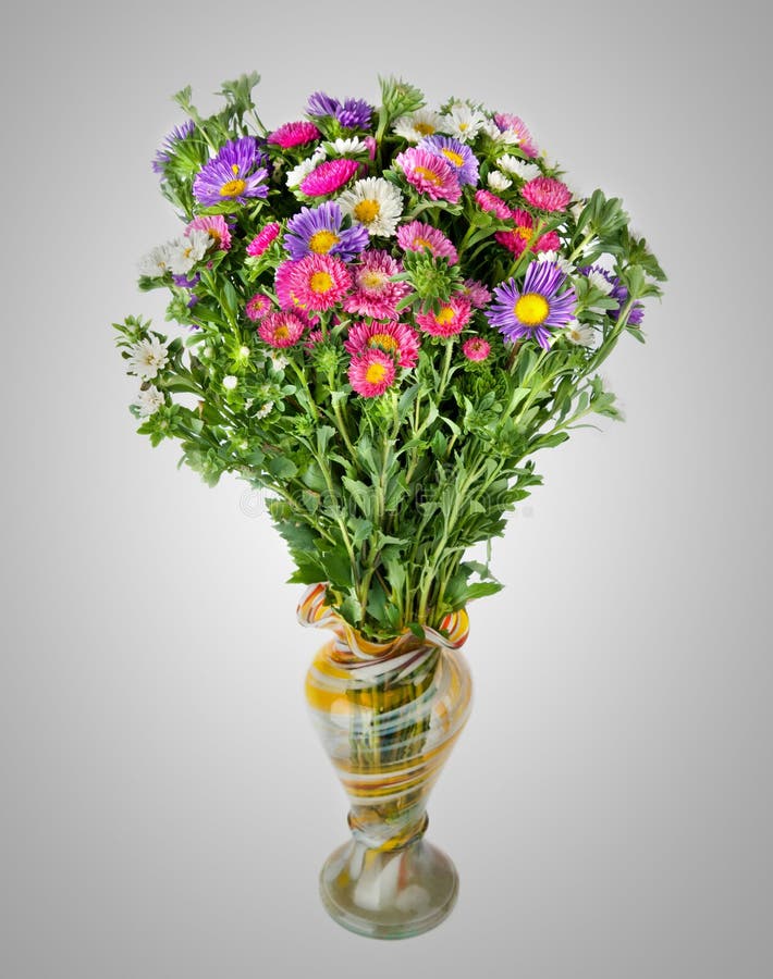 Asters Bouquet In Vase On Gray Stock Photo - Image of flowers, leaf ...