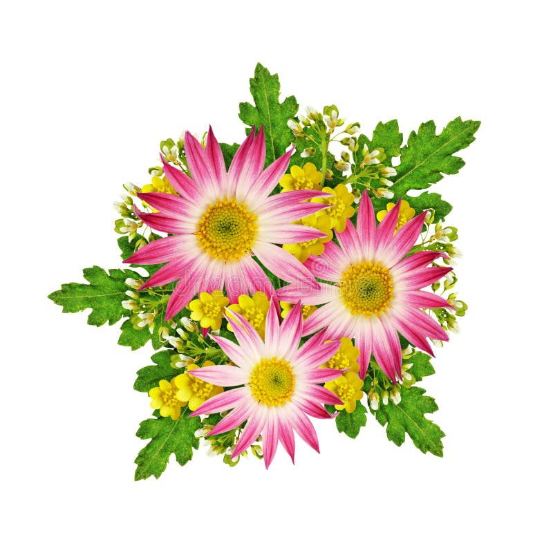 Asters en wild bloemenboeket royalty-vrije stock foto Asters en wild bloemenboeket royalty-vrije stock foto