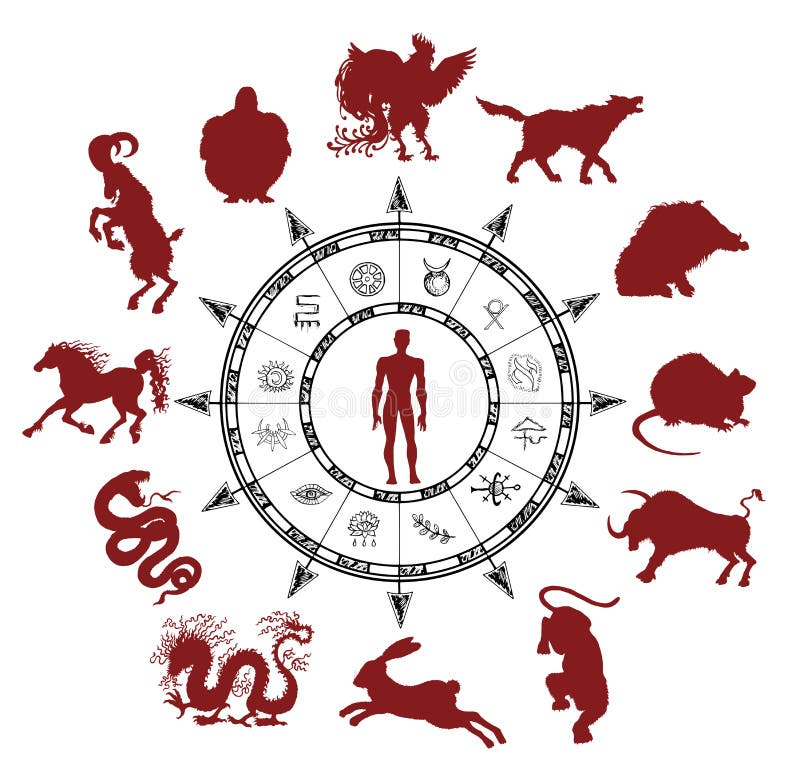 astrology chart silhouettes chinese zodiac animals mystic symbols human asian new year calendar signs graphic set 76732395
