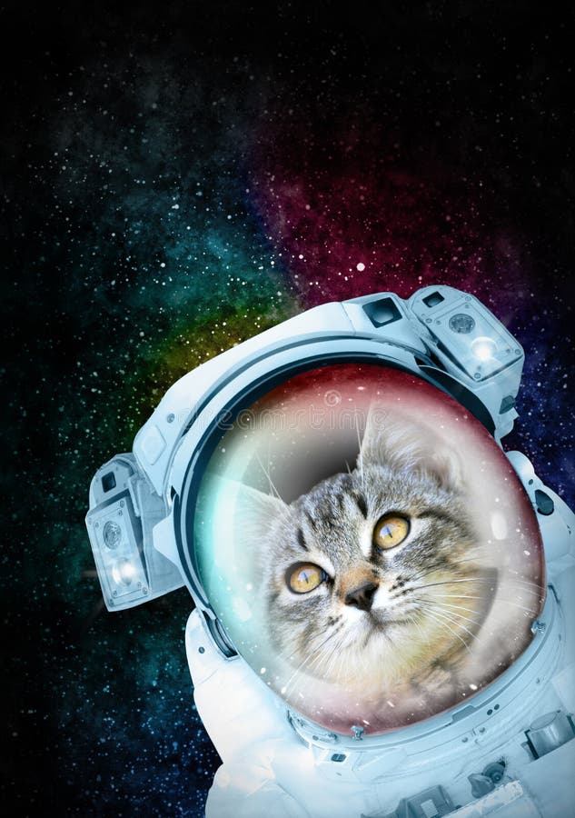 Astronaut Cat exploring the space stock photos Astronaut Cat exploring the space stock photos