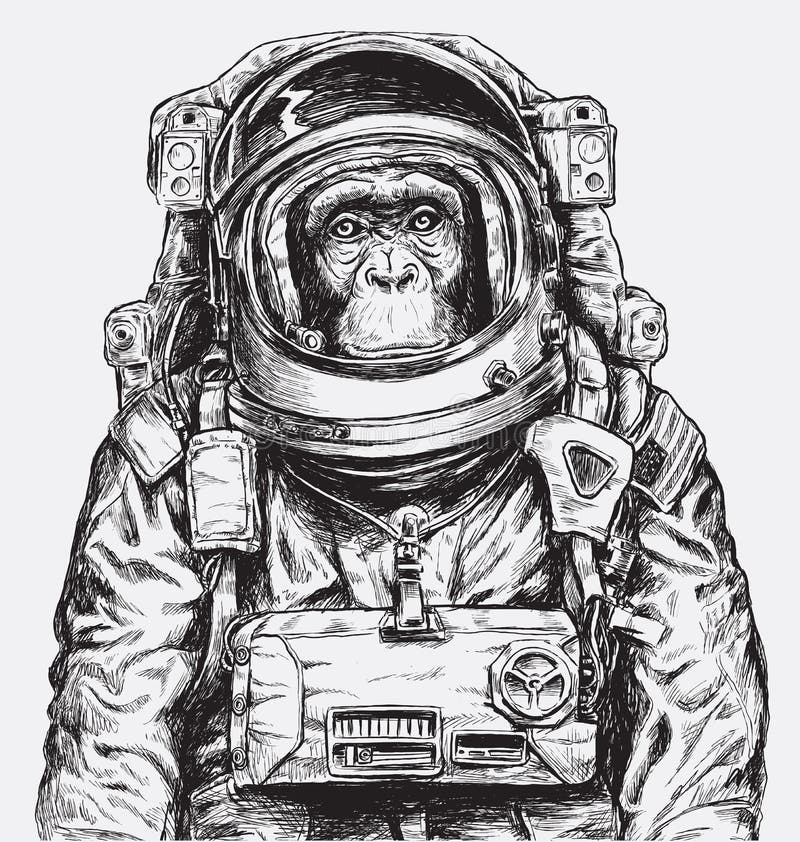 Astronauta tirado mão Vetora do macaco