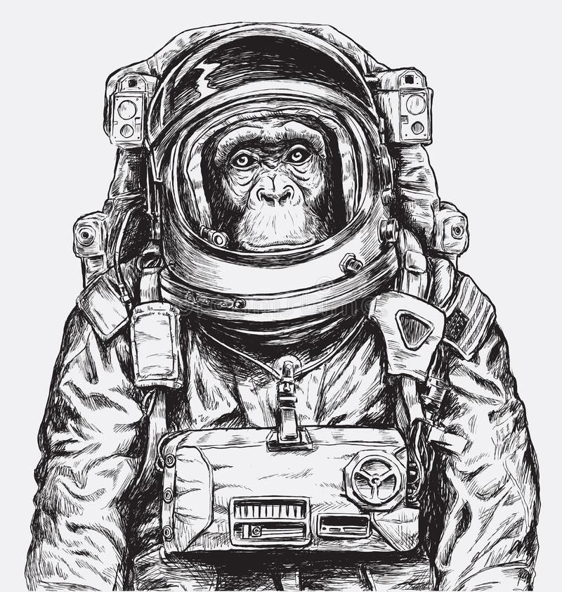 Astronaute tiré par la main Vector de singe illustration libre de droits