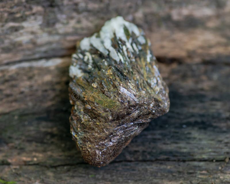 Astrophyllite rugueux dans le spécimen de matrice de Russie sur une écorce d'arbre dans la forêt d'autres noms : Aastrophyllite, image stock Astrophyllite rugueux dans le spécimen de matrice de Russie sur une écorce d'arbre dans la forêt d'autres noms : Aastrophyllite, image stock