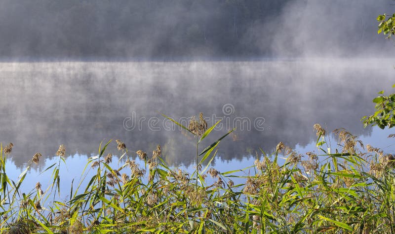 Asveja (Dubingiai) lake, Lithuania.