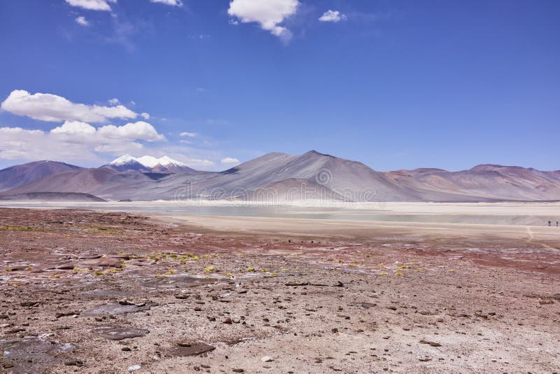 Atacama aride aménage le panorama en parc images stock Atacama aride aménage le panorama en parc images stock