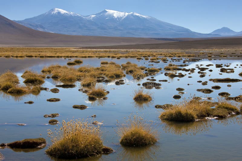 Atacama Desert - Chile