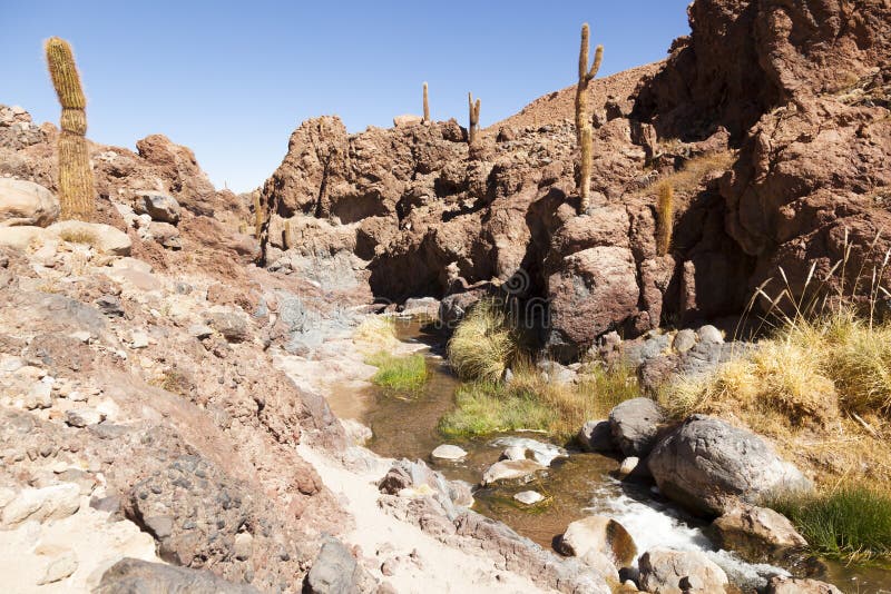 Atacama Desert. North of Chile Stock Image Image of adventure
