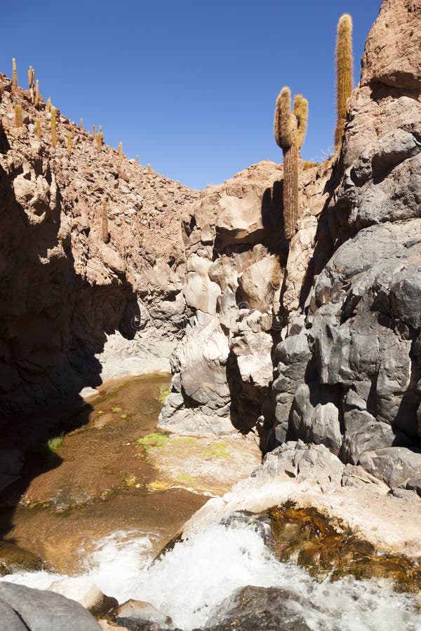 Atacama Desert. North of Chile Stock Image Image of adventure
