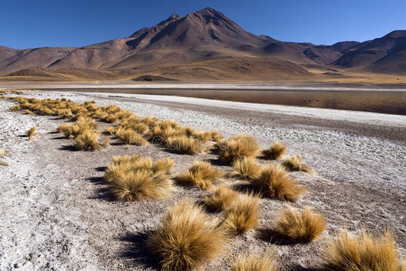 Atacama Desert in Northern Chile Stock Image Image of scenic, view
